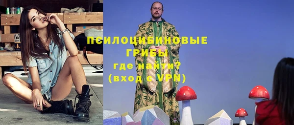 ГАЛЛЮЦИНОГЕННЫЕ ГРИБЫ Алексеевка