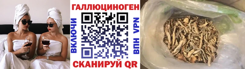 Купить  Белозерск  Псилоцибиновые грибы Psilocybine cubensis 